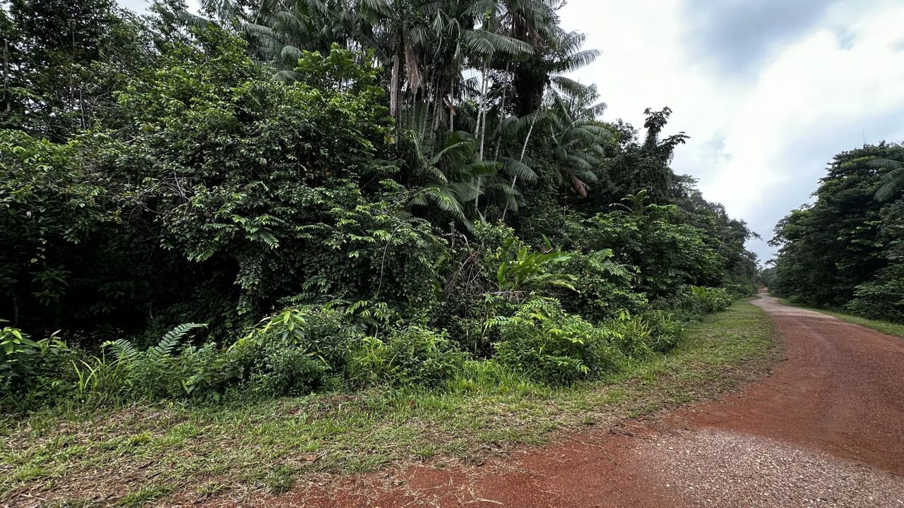 terrain  pièces 10000 m2 à vendre à Cayenne (97300)