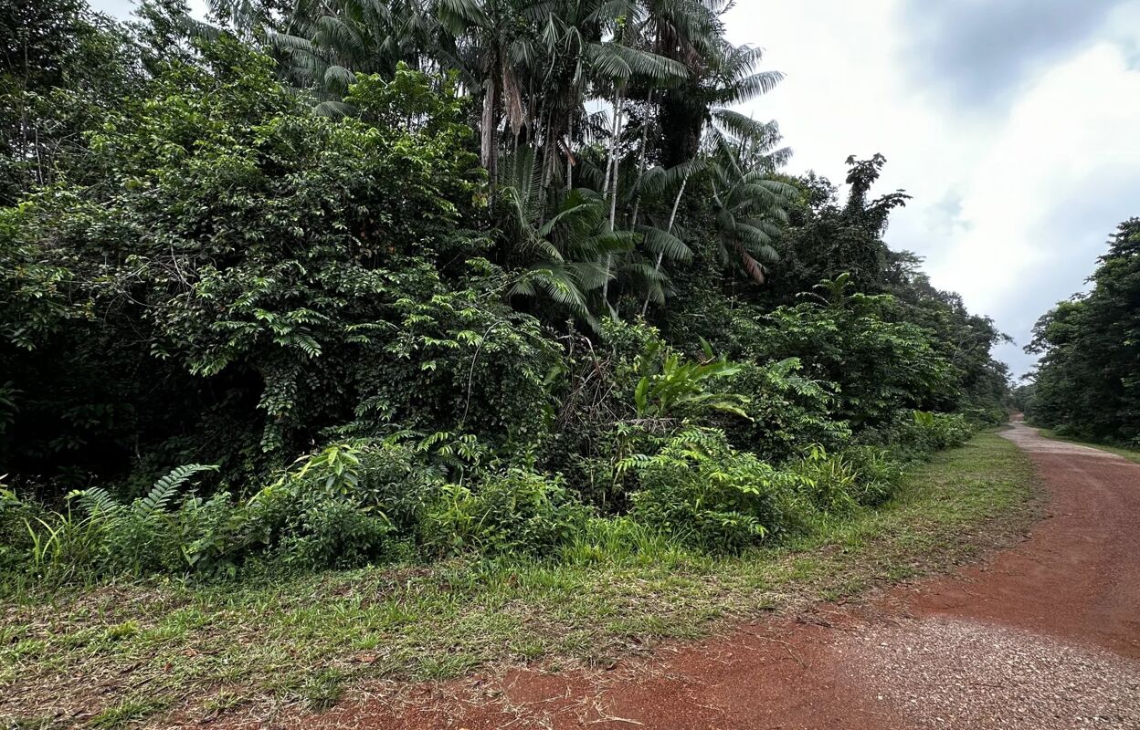 terrain  pièces 10000 m2 à vendre à Cayenne (97300)