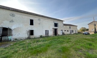 Photo N° 6