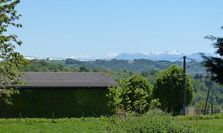 Photo N° 3