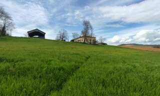 Photo N° 4