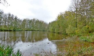 Photo N° 4