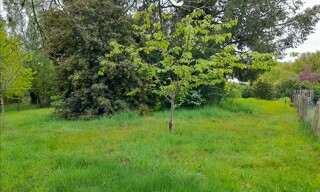 Photo N° 6