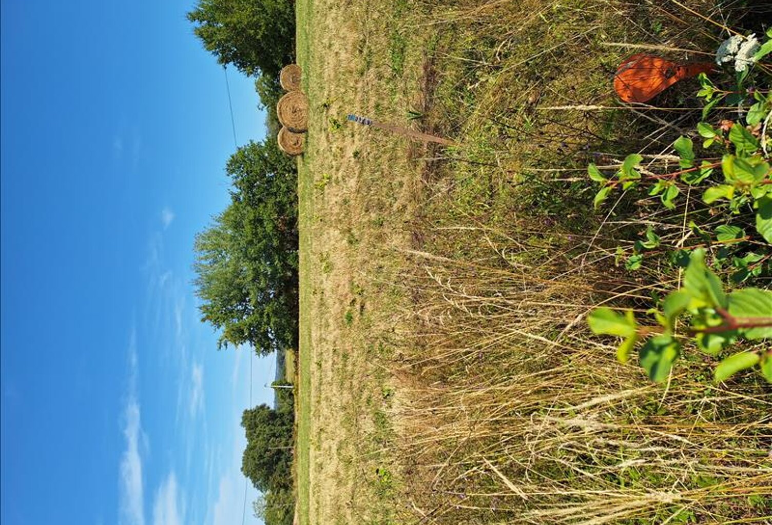 Vente terrain  1610 m² Villeneuve-de-Marsan (40190) — photo 1