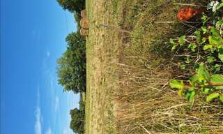 Terrain  1610 m² à vendre à Villeneuve-de-Marsan (40190)