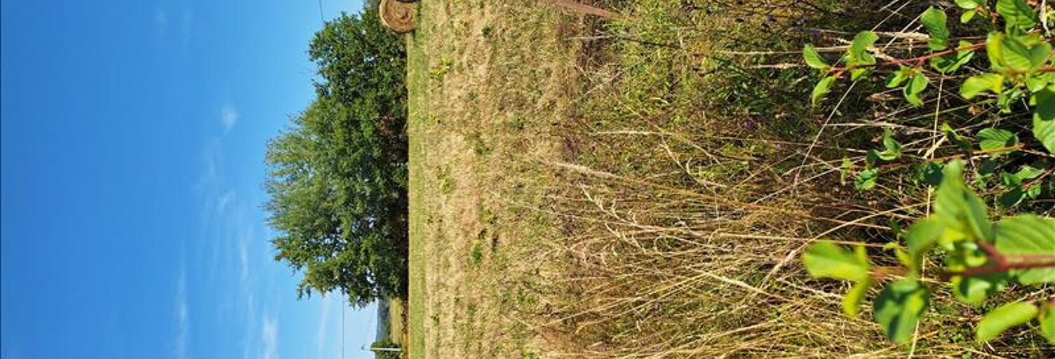 Terrain  1610 m² à vendre à Villeneuve-de-Marsan (40190)