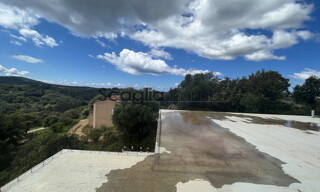 Photo N° 4