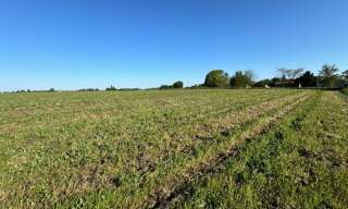 Terrain  31517 m² à vendre à Plassac (17240)