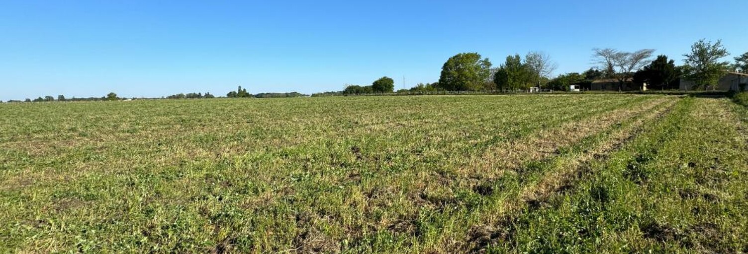 Terrain  31517 m² à vendre à Plassac (17240)