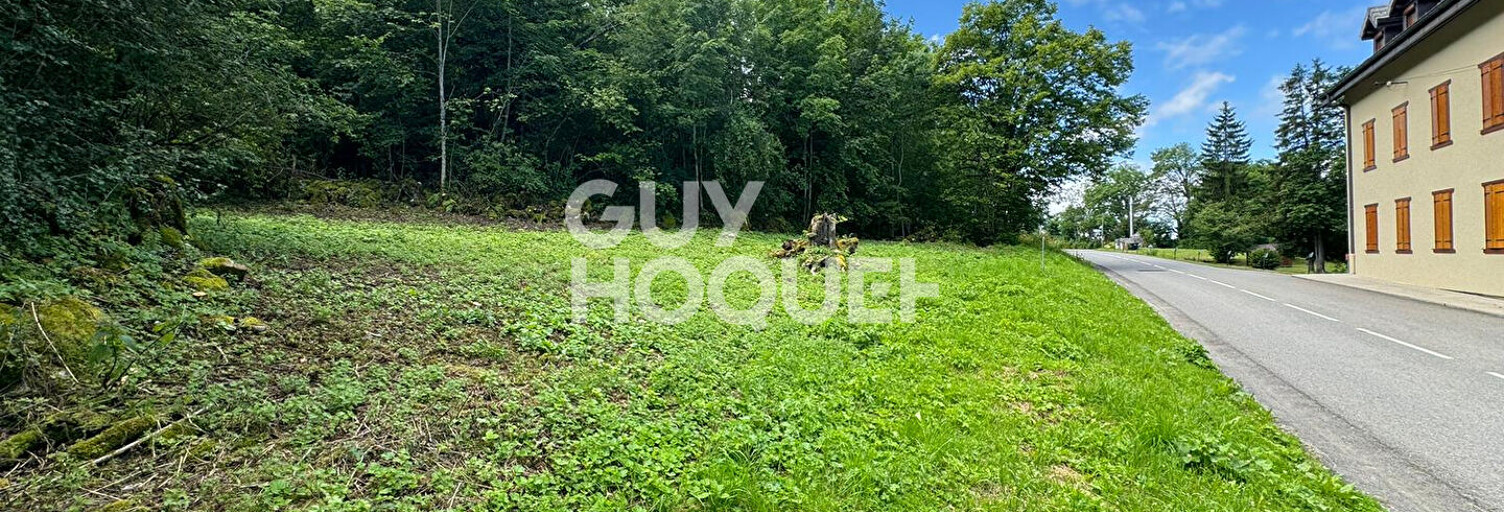 Terrain  400 m² à vendre à Thollon-les-Mémises (74500)