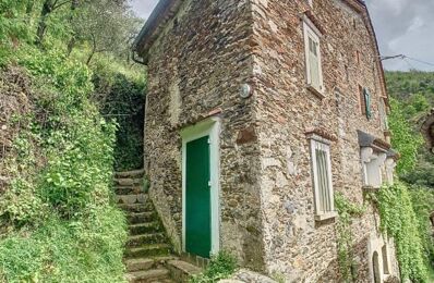 vente maison 150 000 € à proximité de Saint-Roman-de-Codières (30440)