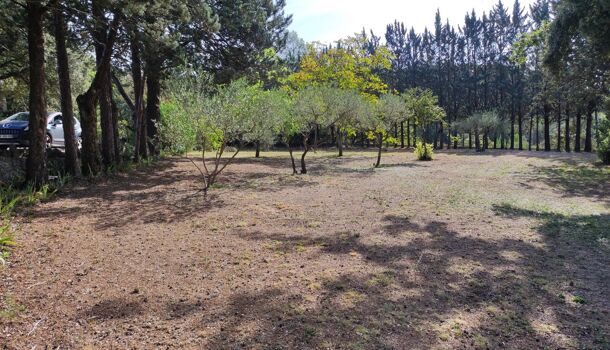 Villa / Maison 5 pièces  à vendre Lorgues 83510