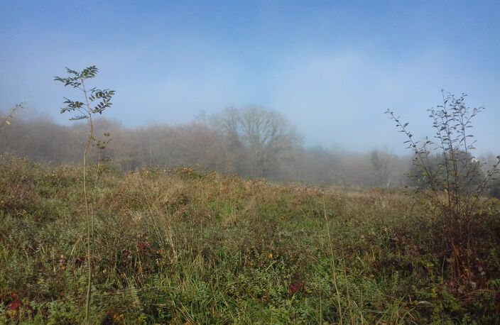 TERRAIN A LOTIR 1,2 hectares environ — photo 2
