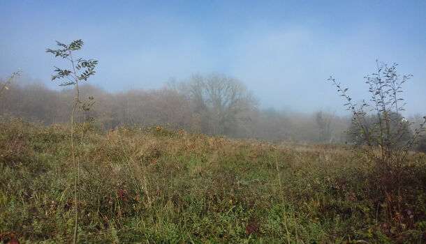 Terrain  à vendre Gan 64290