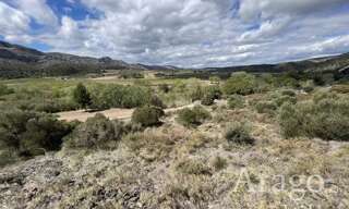 Terrain  4120 m² à vendre à Cases-de-Pène (66600)