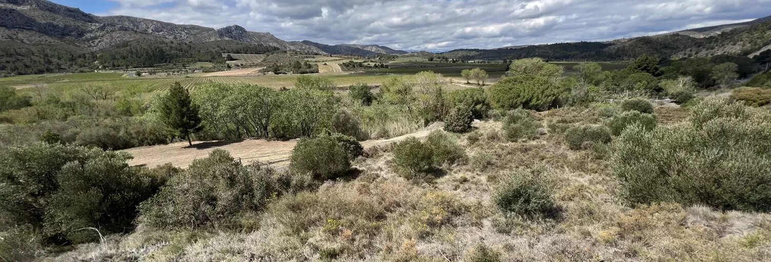 Terrain  4120 m² à vendre à Cases-de-Pène (66600)