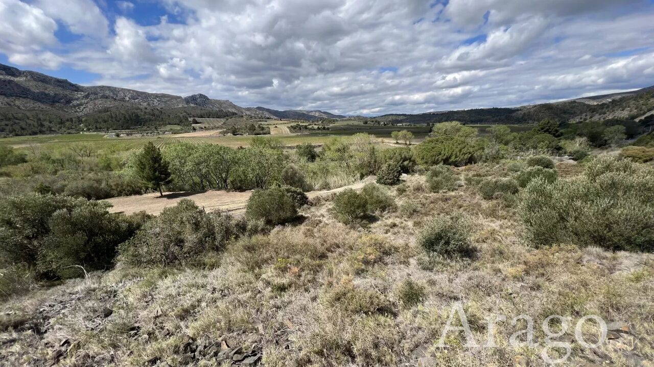 terrain  pièces 4120 m2 à vendre à Cases-de-Pène (66600)