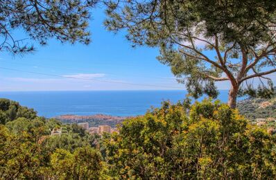 vente maison 1 490 000 € à proximité de Saint-Jean-Cap-Ferrat (06230)