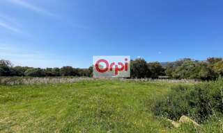 Terrain  12588 m² à vendre à Figari (20114)