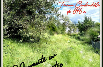 vente terrain 342 400 € à proximité de Les Ponts-de-Cé (49130)