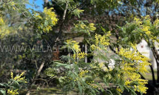 Maison 4 Pièces 76 m² à vendre à Lège (33950)