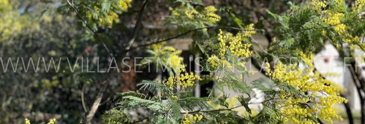 Maison 4 Pièces 76 m² à vendre à Lège (33950)