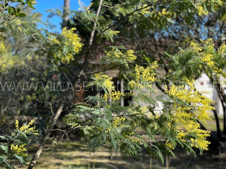 SITUATION RARE pour projet sur la Presqu'île  — photo 1