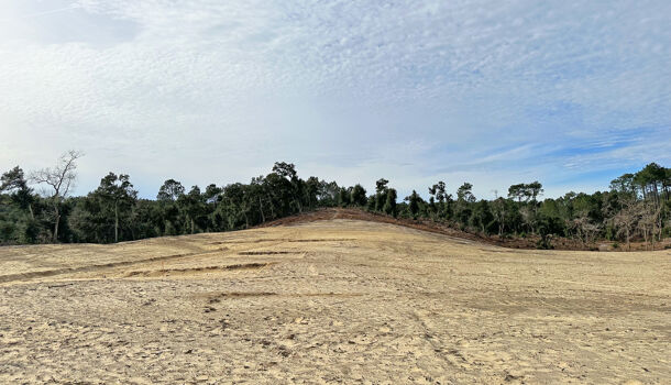 Terrain  à vendre Labenne 40530