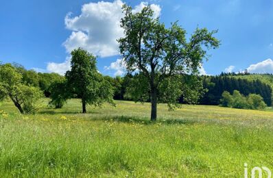 vente terrain 150 000 € à proximité de Feldbach (68640)