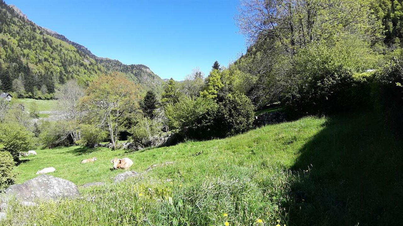 terrain  pièces 11657 m2 à vendre à Laruns (64440)