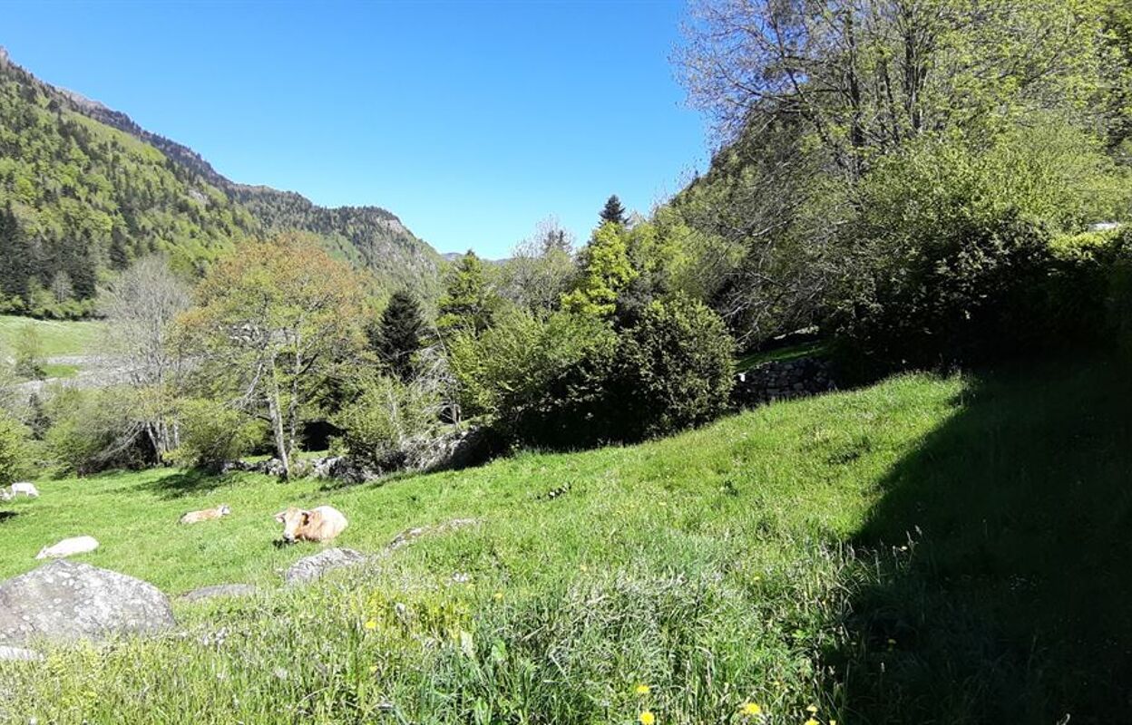 terrain  pièces 11657 m2 à vendre à Laruns (64440)