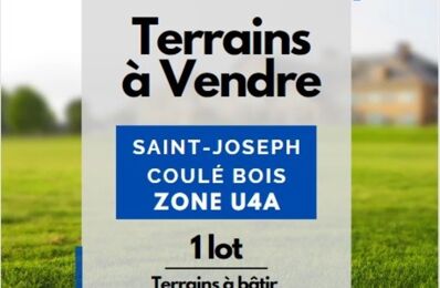 vente terrain 295 000 € à proximité de Le Morne-Rouge (97260)