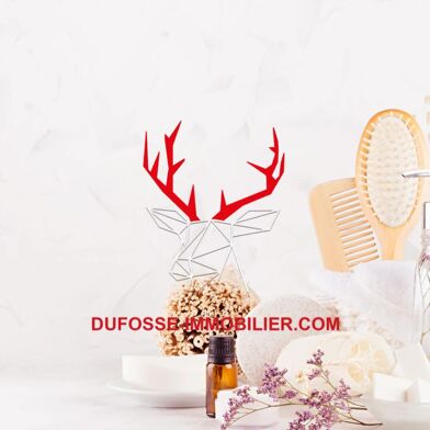 Commerce  294000 €