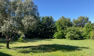 Photo N° 4