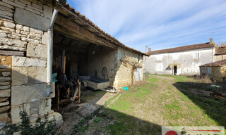 Photo N° 4
