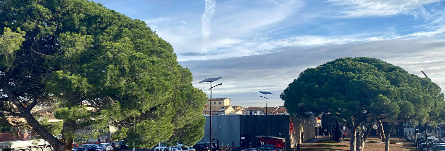 Appartement 3 Pièces 76 m² à louer à Toulouse (31200)