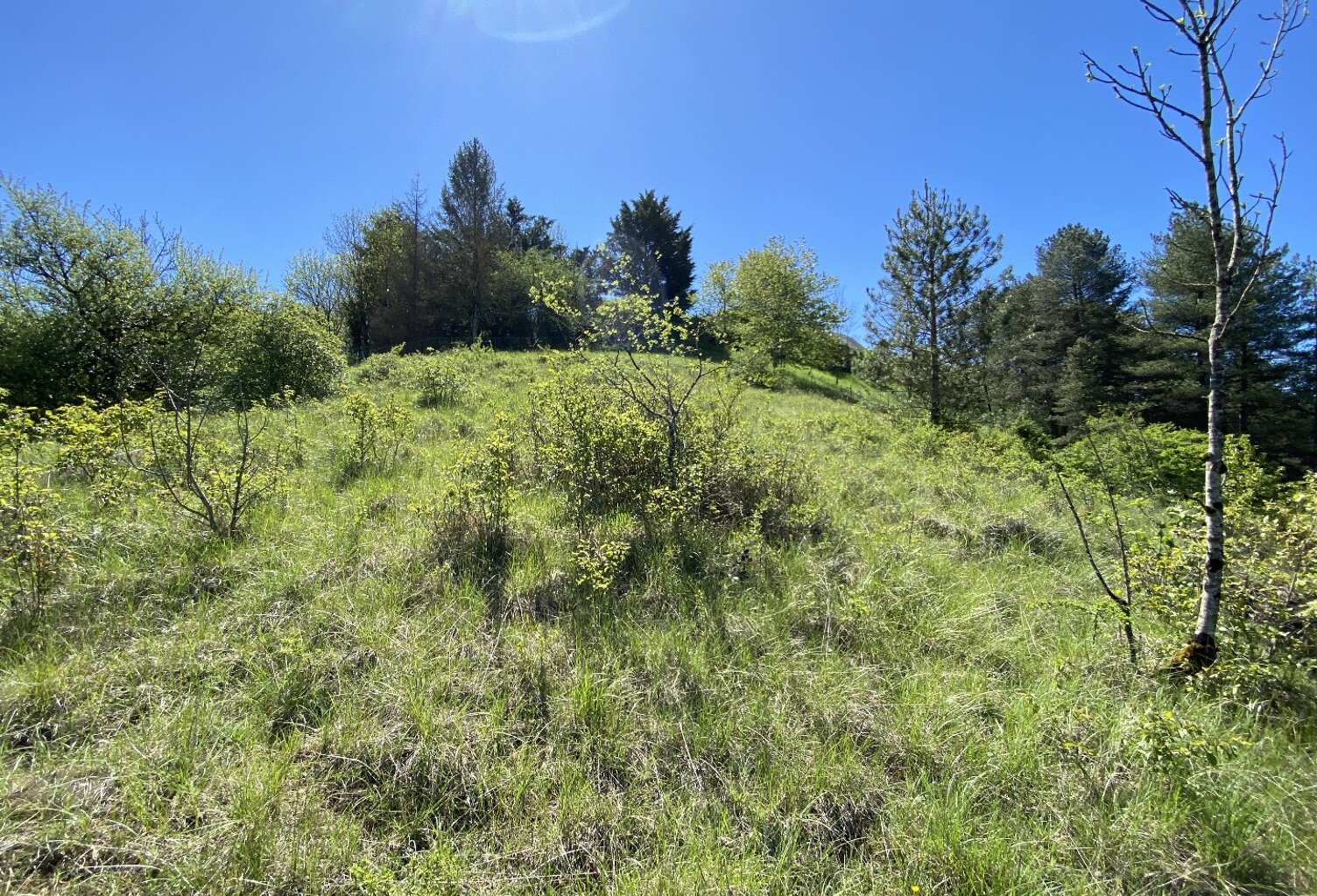 Terrain — photo 1