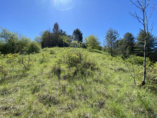 Terrain — photo du bien