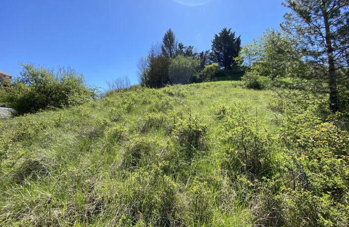 Terrain — photo 2