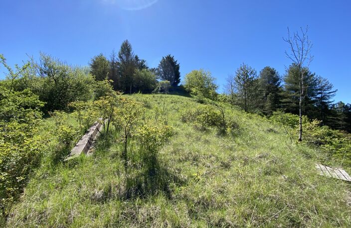Terrain — photo 3