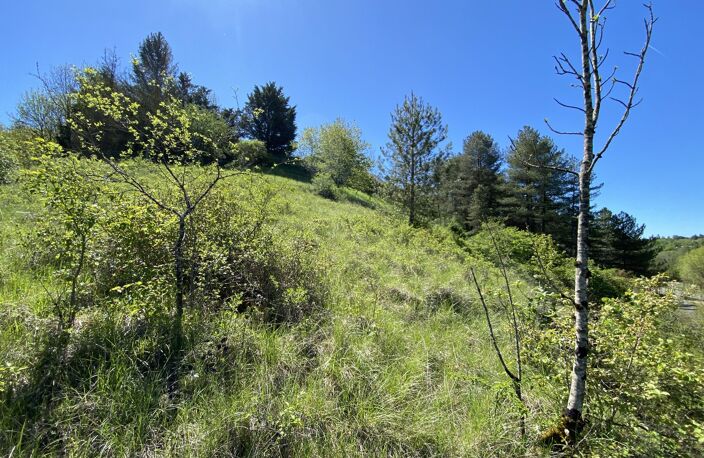 Terrain — photo 4
