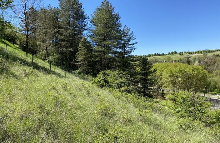 Terrain — photo 5
