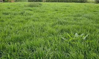 Terrain  3080 m² à vendre à Bailleul-lès-Pernes (62550)