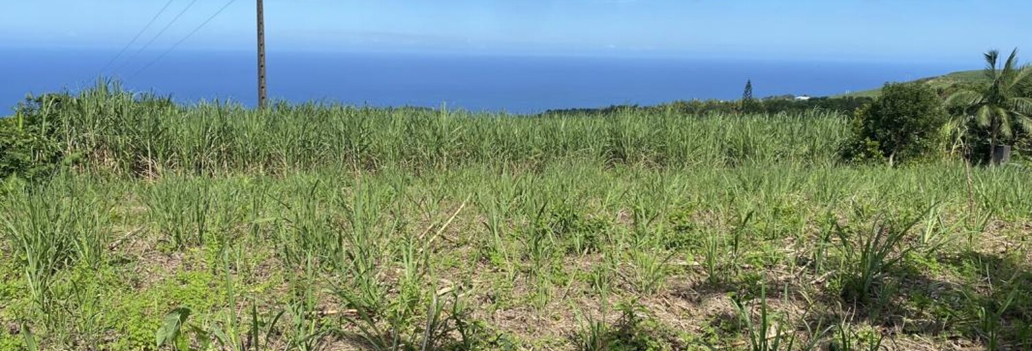 Terrain  1103 m² à vendre à Saint-Joseph (97480)