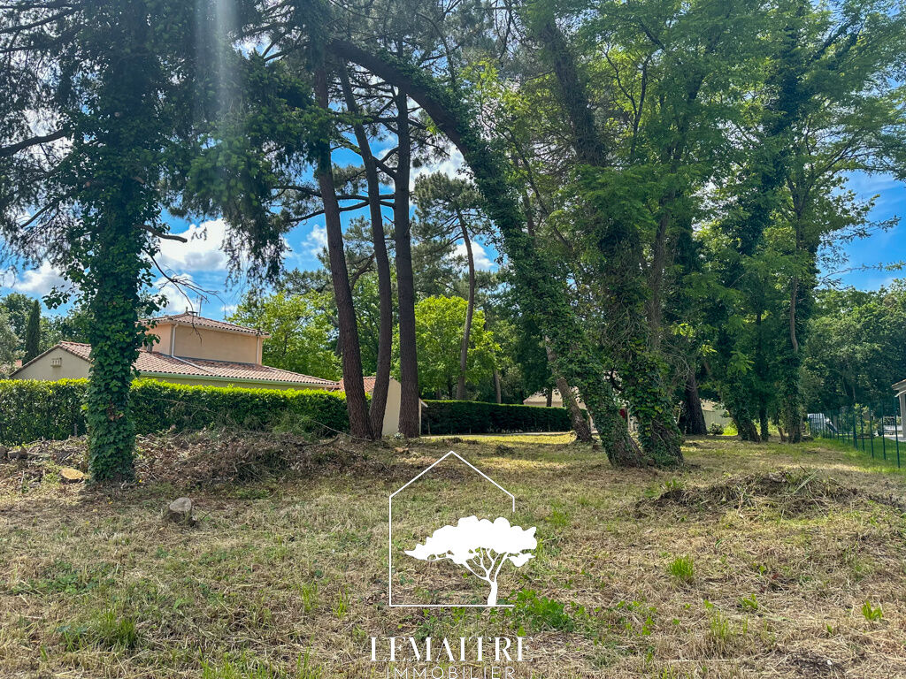 Terrain  à vendre Tremblade (La) 17390