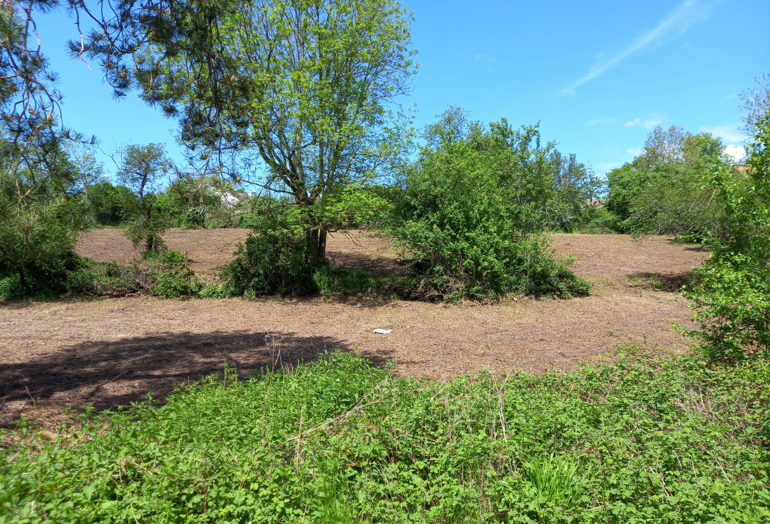 TERRAIN A BATIR — photo 1