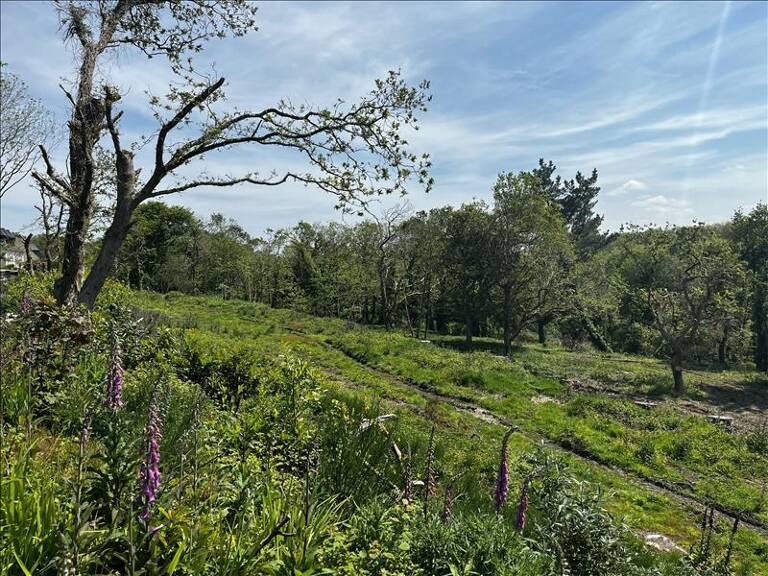 Terrain à bâtir de 0 pièces principales — photo 1