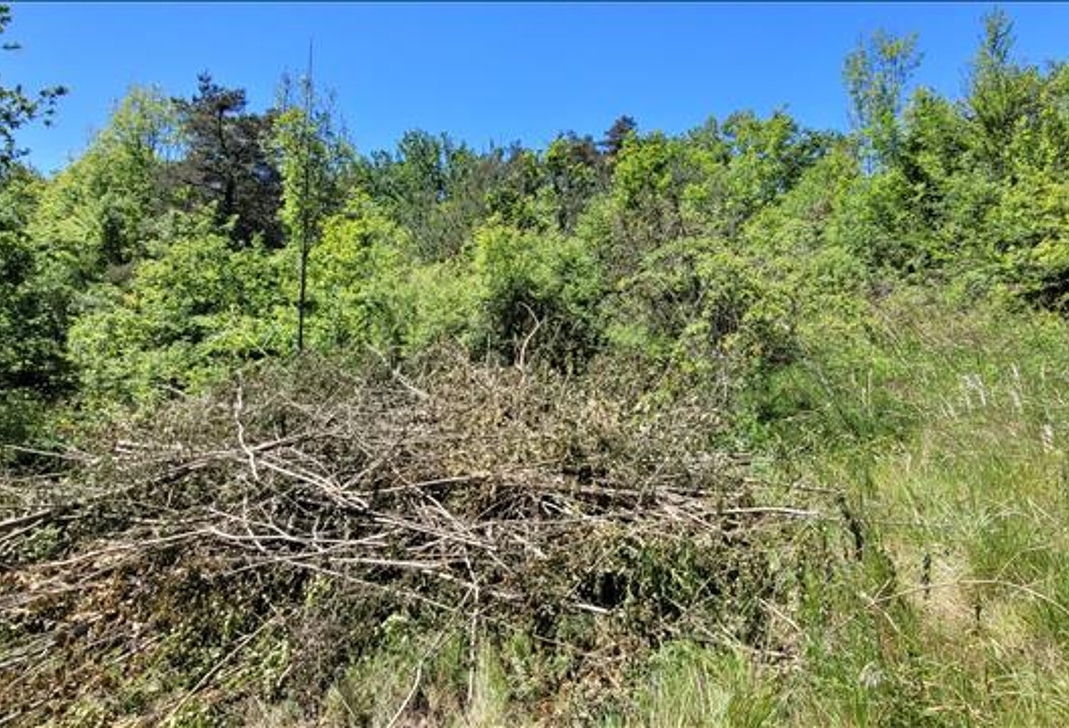 Terrain à bâtir de 0 pièces principales — photo 1