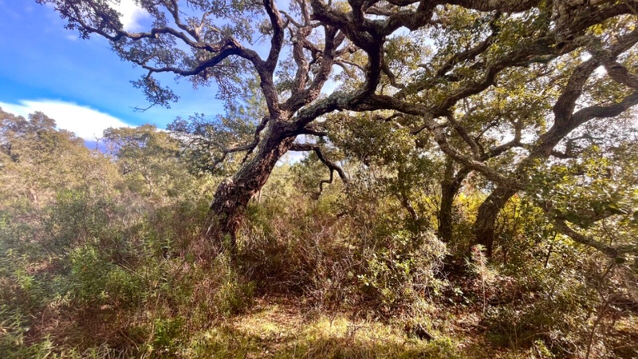 terrain  pièces 4410 m2 à vendre à Bastia (20200)