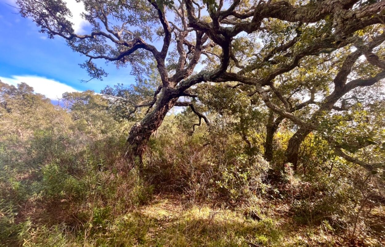 terrain  pièces 4410 m2 à vendre à Bastia (20200)